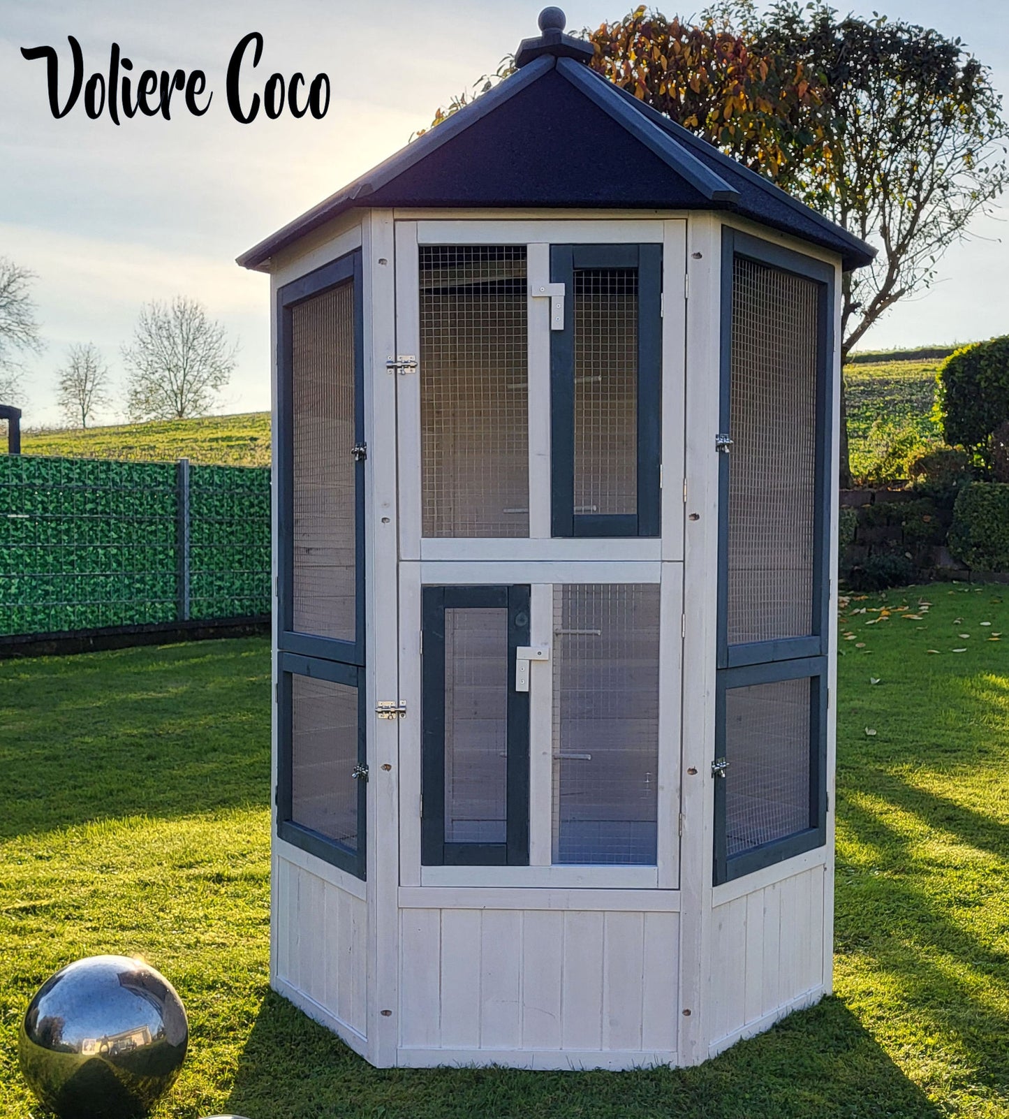 MyPets® Vogelvoliere XXL optional mit Auslauf Voliere Vogelhaus Käfig Holz Vogel
