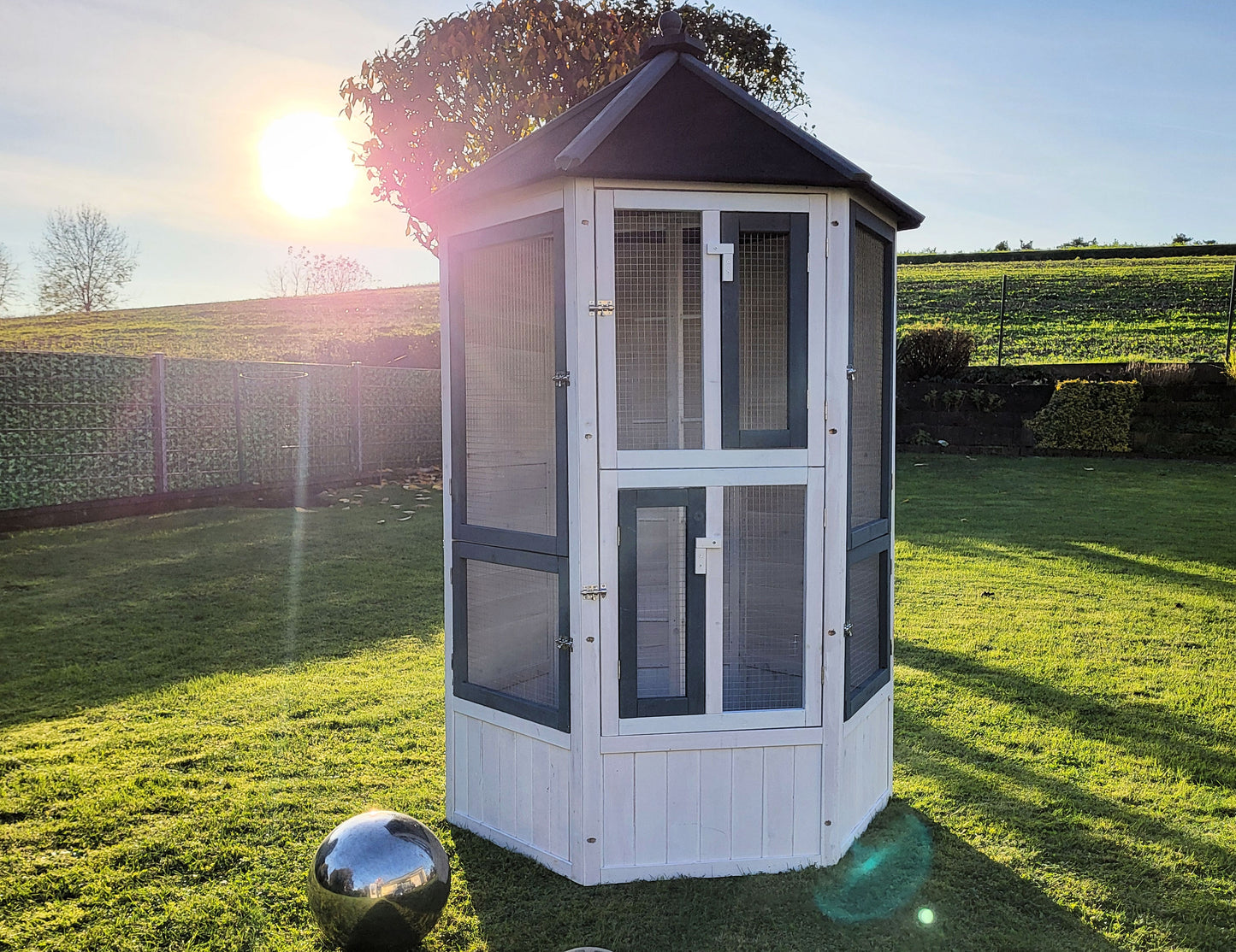 MyPets® Vogelvoliere XXL optional mit Auslauf Voliere Vogelhaus Käfig Holz Vogel