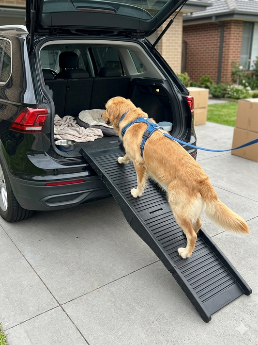 Klappbare Hunderampe COMFORT Hundetreppe Rampe Treppe Hund Auto Einstiegshilfe