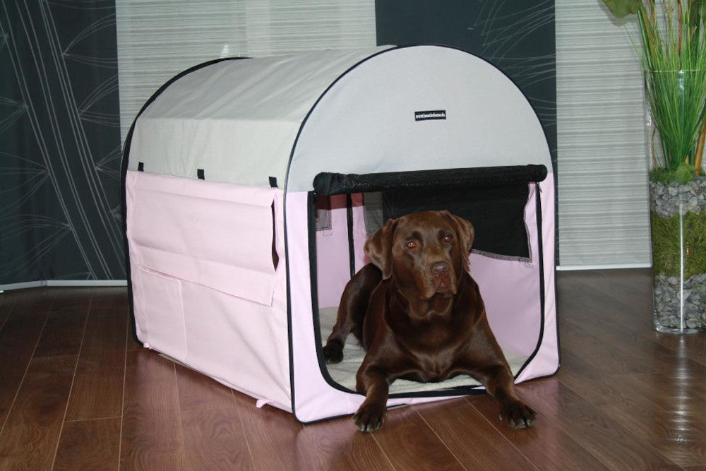 Rex Hundebox Hundetransportbox faltbar Autotransportbox Katzen Hunde