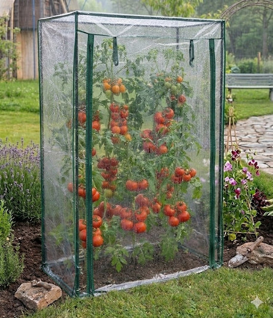 Gewächshaus GREENHOUSE L Frühbeet Treibhaus Frühbeet Foliengewächshaus Tomaten