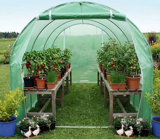 Gewächshaus GREENHOUSE XXXL Frühbeet Treibhaus Frühbeet Foliengewächshaus Grün