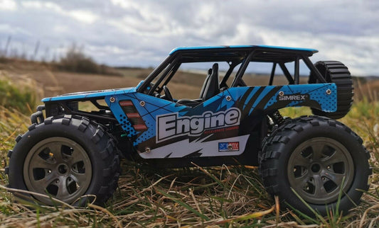 RC Monster Truck BANDIT ferngesteuertes Auto Buggy Geländewagen 2,4 Ghz. RTR