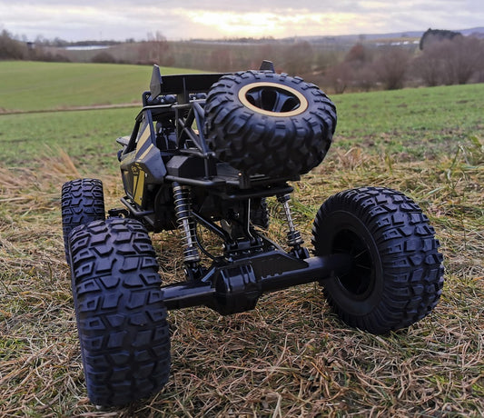 RC Allrad Rock Crawler PANTHER XXL 50cm Ferngesteuertes Auto Monster Truck