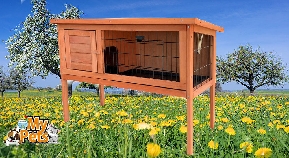 Hasenstall CHAMP XL Kleintiergehege Kaninchenstall Käfig Hase Kaninchen Gehege