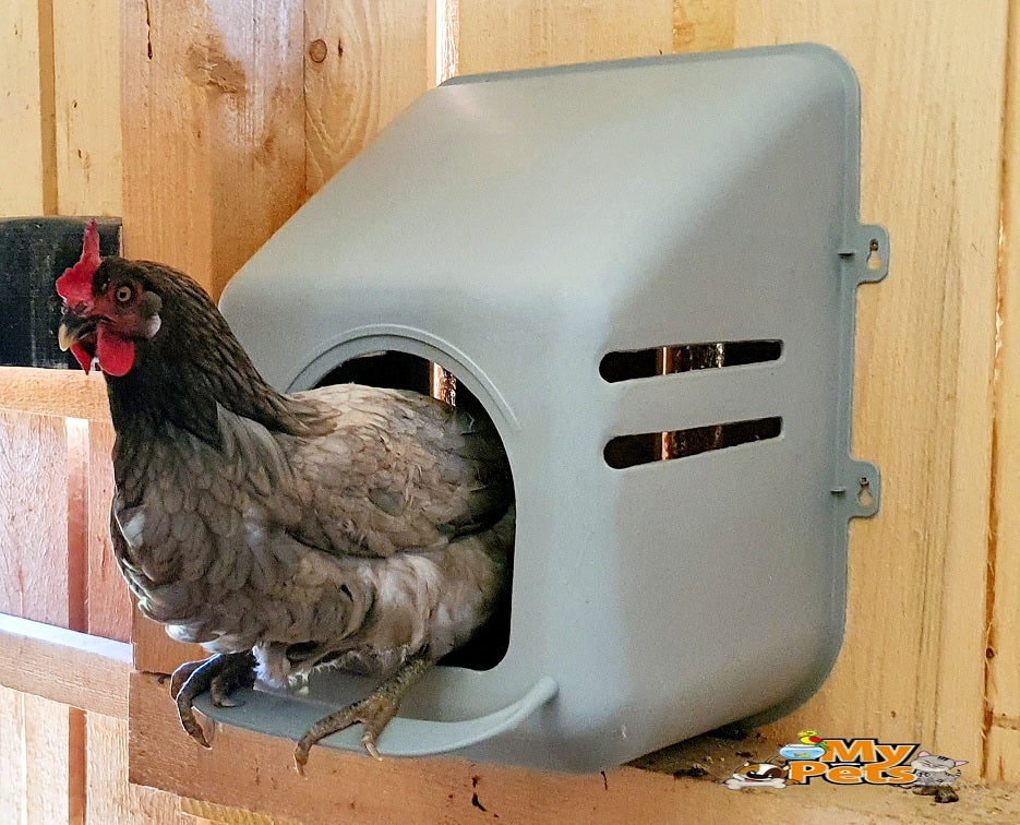Hühnernest Legenest Kunststoff Abrollnest Eierbox Geflügel Hühner Wand Nest