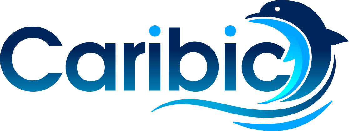 XL Luftpolster für Abdeckplane Pool Kissen Luftkissen Winterplane Polster Winter