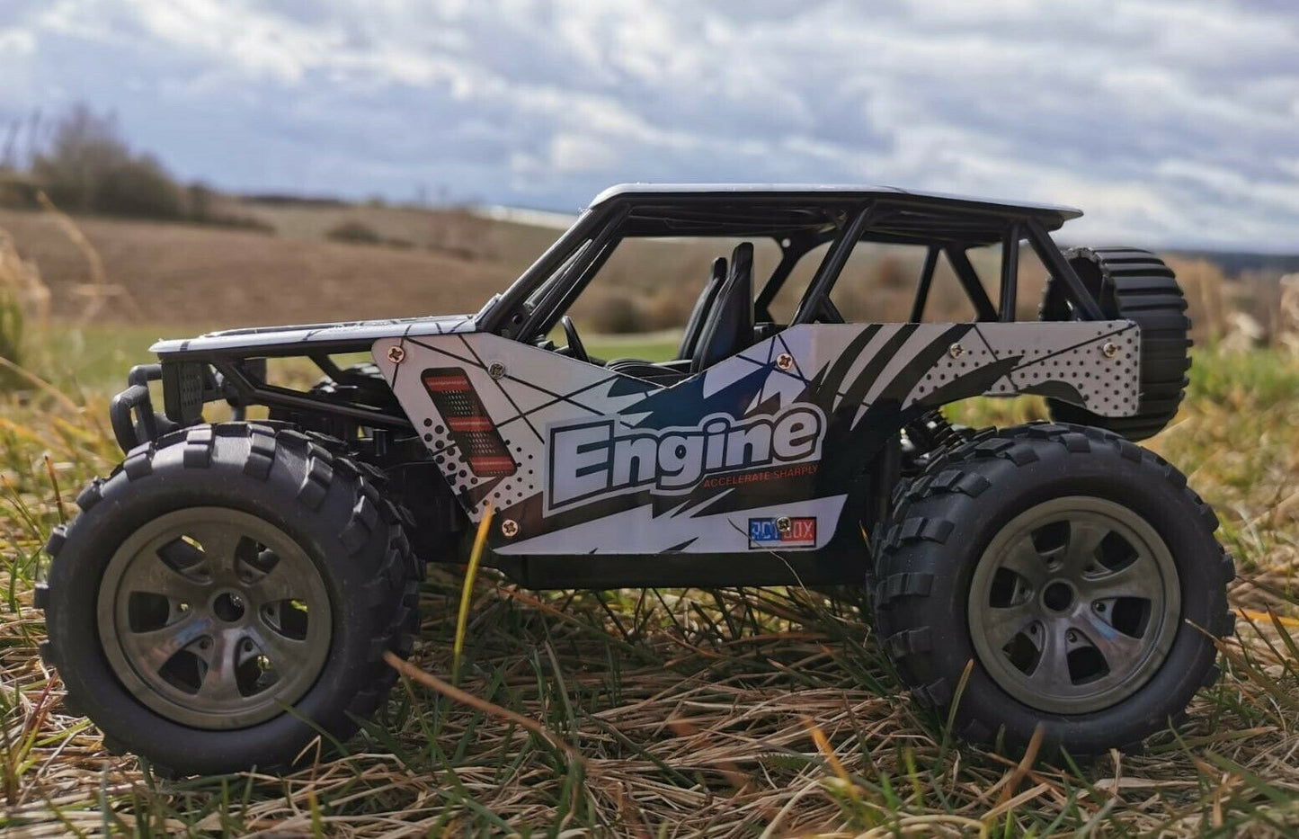 RC Monster Truck BANDIT ferngesteuertes Auto Buggy Geländewagen 2,4 Ghz. RTR