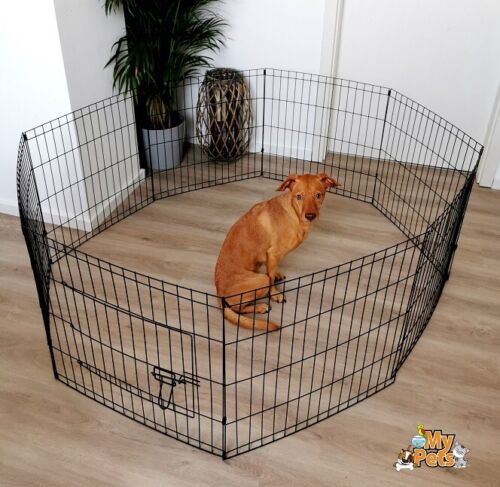 Freigehege YOUNGSTER Welpenlaufstall Welpenauslauf Welpen Hunde Laufstall