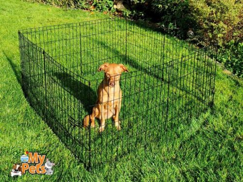 Freigehege YOUNGSTER Welpenlaufstall Welpenauslauf Welpen Hunde Laufstall