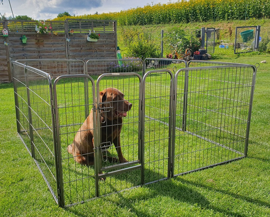 Freigehege YOUNG DOGS Welpenlaufstall Welpenauslauf Welpengitter Welpenzaun