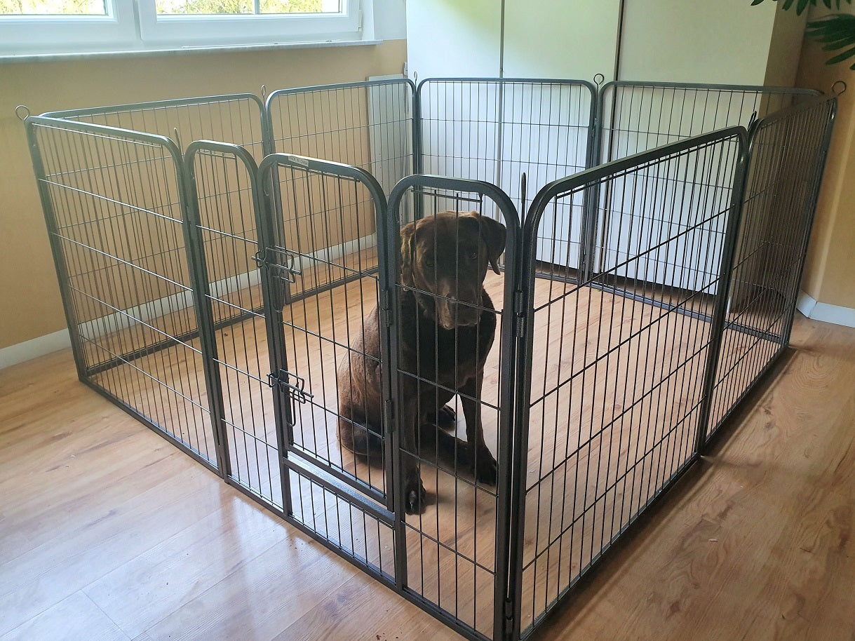 Freigehege YOUNG DOGS Welpenlaufstall Welpenauslauf Welpengitter Welpenzaun