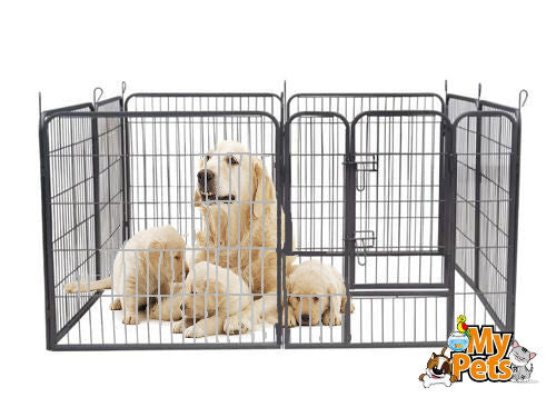 Freigehege YOUNG DOGS Welpenlaufstall Welpenauslauf Welpengitter Welpenzaun