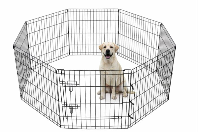 Freigehege YOUNGSTER  Welpenlaufstall Welpenauslauf Welpen Hunde Laufstall