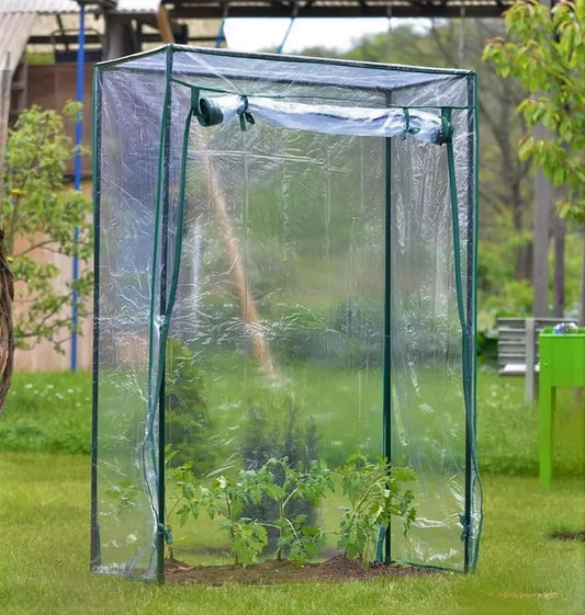 Gewächshaus GREENHOUSE L Frühbeet Treibhaus Frühbeet Foliengewächshaus Tomaten